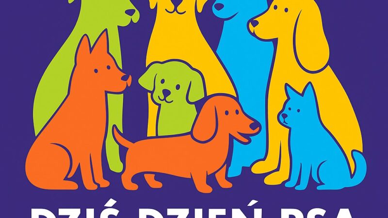 1 lipca – Dzień Psa